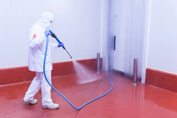 Best Warehouse Cleaning  in Rome, NY