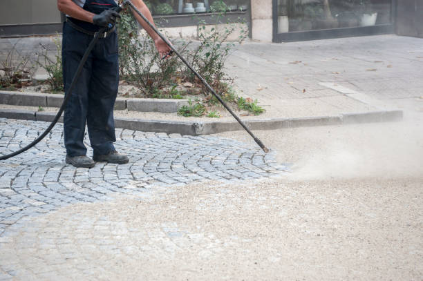 Best Driveway Pressure Washing  in Rome, NY